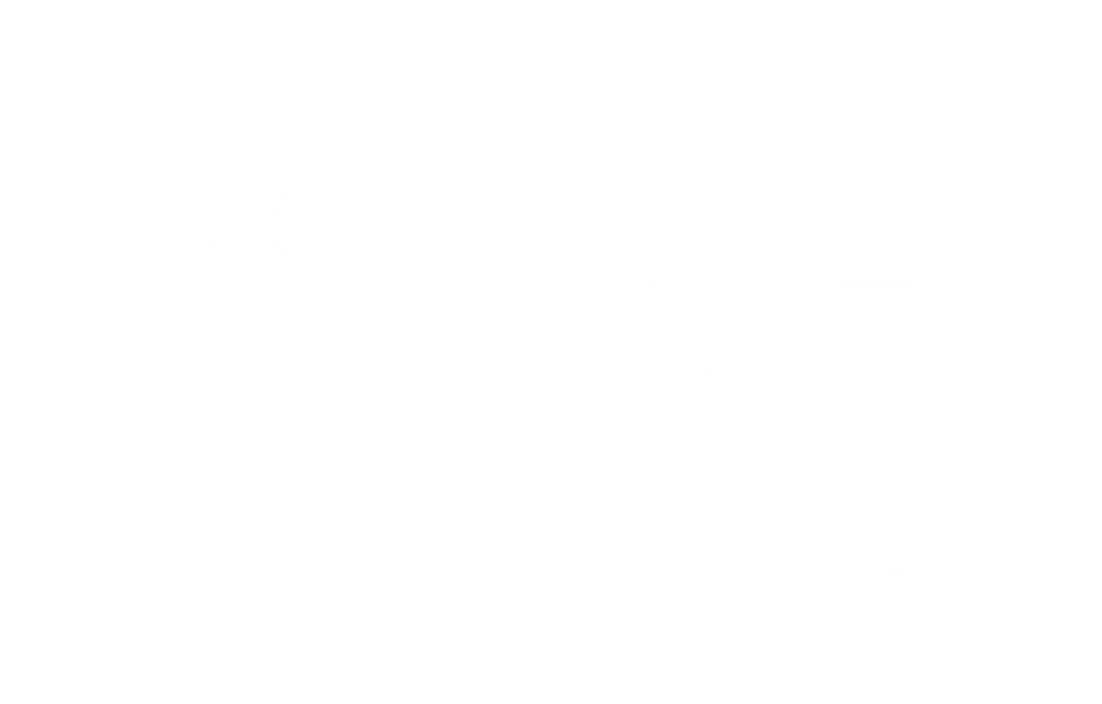 tax accountant in Windsor Ontario reviewing documents